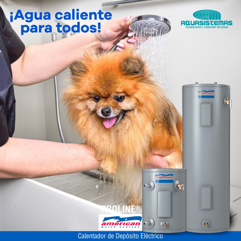 ¿Por qué elegir los calentadores eléctricos de tanque de Aquasistemas?