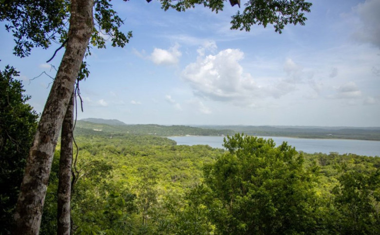 4. Recorrer el Biotopo Cerro Cahuí