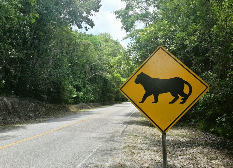 Con el corazón tranquilo y el estómago contento, emprendí el camino por la carretera rumbo al Parque Nacional Tikal