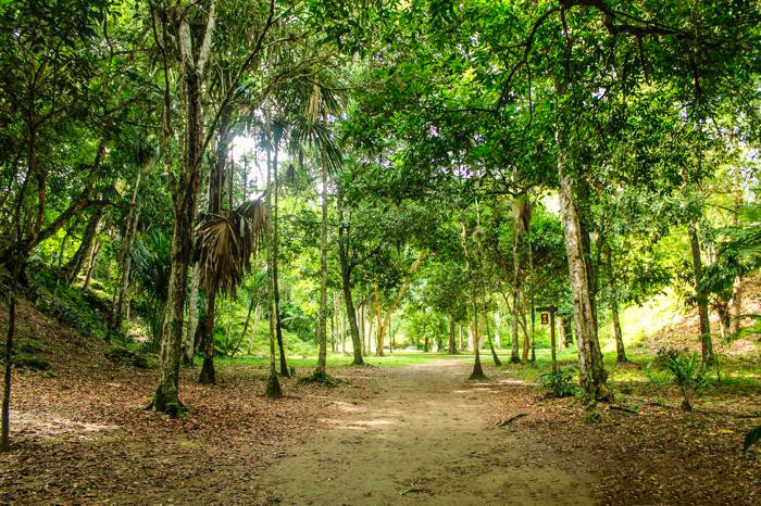 Al cruzar los senderos de Tikal, el aire cambia