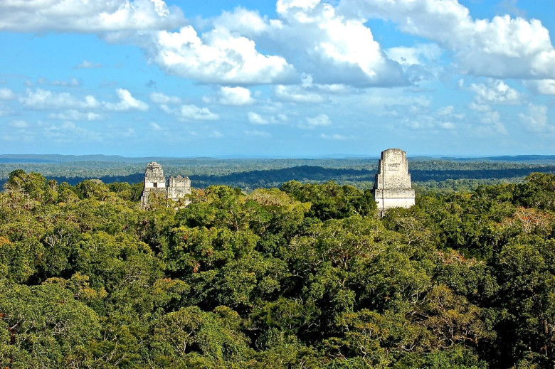 El panorama fue simplemente indescriptible. Desde allí, los templos emergen entre las copas de los árboles como guardianes del tiempo.