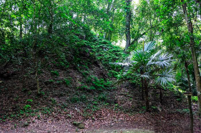 El camino de regreso fue sereno, casi meditativo, con los sonidos de la selva como única compañía.