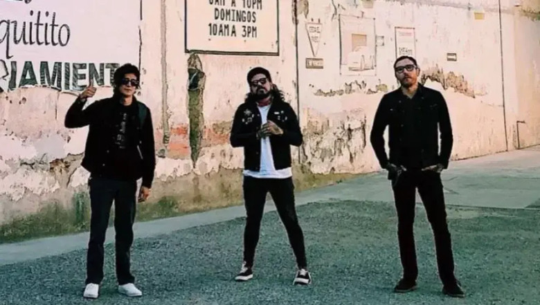 🎶 Conciertos y espectáculos