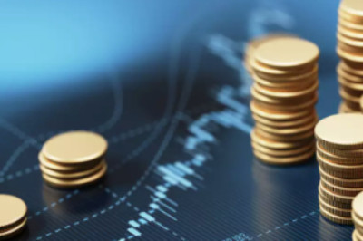 ¿Quieres maximizar tu inversión?