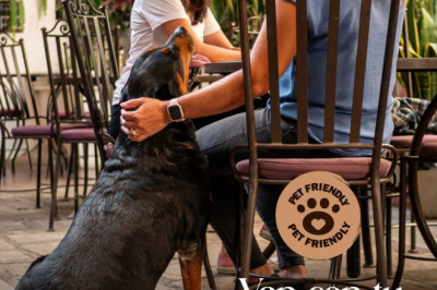 Somos Pet Friendly