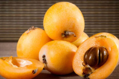 Ya viene el festival del níspero