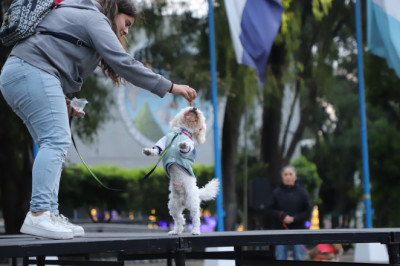 USAC realizó festival familiar junto a su mascotas