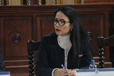 Leyla Lemus: Voto razonado ante la decisión de la CC por aumento de salario de diputados