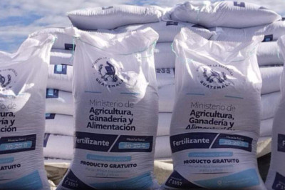 Tensión entre diputados por entrega de fertilizantes y programas sociales
