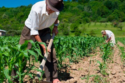 Alerta por calor extremo: estos 7 departamentos sufrirán las temperaturas más altas esta semana