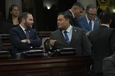 Sin los 107 votos para rechazar el veto, oposición en el Congreso recurre a interpretación legal para sancionar decreto