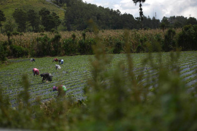 Camagro critica segundo año de gestión de Arévalo