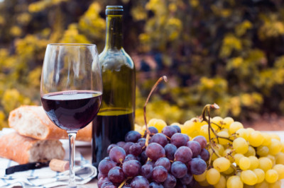 ¿Equipo MKT Millennial o Gen Z? La forma en que vivimos el vino 🍷✨