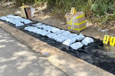 PNC decomisa casi 100 libras de marihuana valoradas en más de Q610 mil en Petén