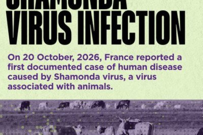 OMS considera poco probable una propagación amplia del virus Shamonda tras primer caso humano